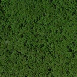 Satellite imagery of Big Spring Ridge, US