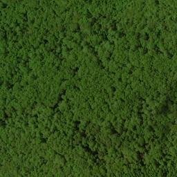 Satellite imagery of Big Spring Ridge, US
