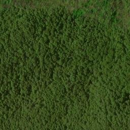 Satellite imagery of Rough Ridge, US