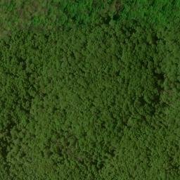 Satellite imagery of Rough Ridge, US