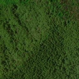 Satellite imagery of High Cove Ridge, US