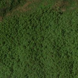 Satellite imagery of High Cove Ridge, US