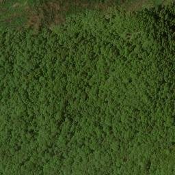 Satellite imagery of High Cove Ridge, US