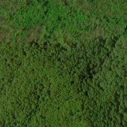 Satellite imagery of Buckhorn Ridge, US