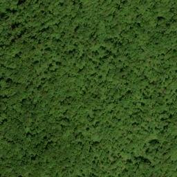 Satellite imagery of Flat Gap Ridge, US