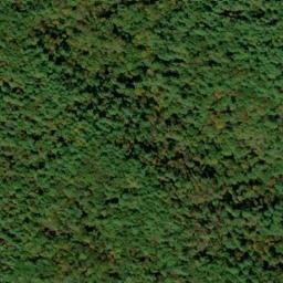 Satellite imagery of Stooping White Oak Ridge, US