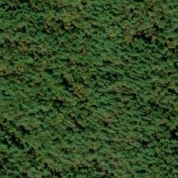 Satellite imagery of Stooping White Oak Ridge, US