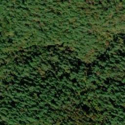 Satellite imagery of Stooping White Oak Ridge, US