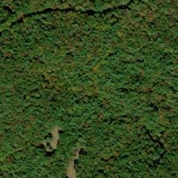 Satellite imagery of Bee Cove Creek Prospect, US