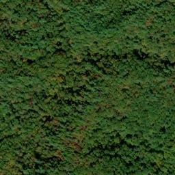 Satellite imagery of Bee Cove Creek Prospect, US