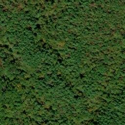 Satellite imagery of Bee Cove Creek Prospect, US