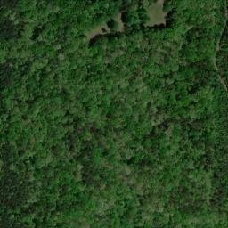 Satellite imagery of Pea Ridge, US