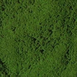 Satellite imagery of Buckhorn Ridge, US