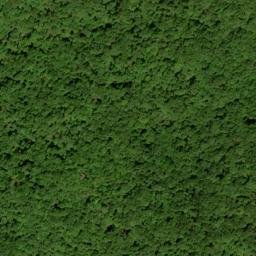 Satellite imagery of Pot Gap Ridge, US