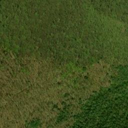 Satellite imagery of Chestnut Ridge, US