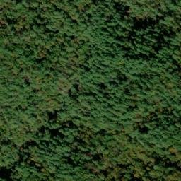 Satellite imagery of Stooping White Oak Ridge, US