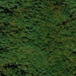 Satellite imagery of Stooping White Oak Ridge, US