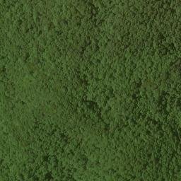 Satellite imagery of Nell Ridge, US