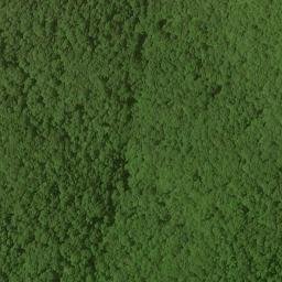 Satellite imagery of Nell Ridge, US
