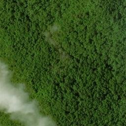 Satellite imagery of Buckhorn Ridge, US