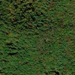Satellite imagery of Hedden Placer Mine, US
