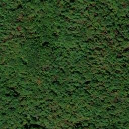 Satellite imagery of John O'Leary Prospect, US