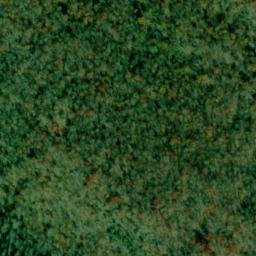 Satellite imagery of Bear Den Point, US