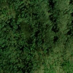 Satellite imagery of Turkey Stand Lead, US