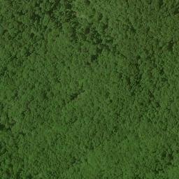 Satellite imagery of Nell Ridge, US
