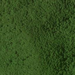 Satellite imagery of Nell Ridge, US