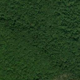 Satellite imagery of Steele Point, US