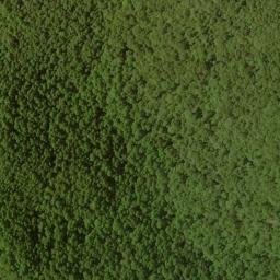 Satellite imagery of Hollifield Ridge, US