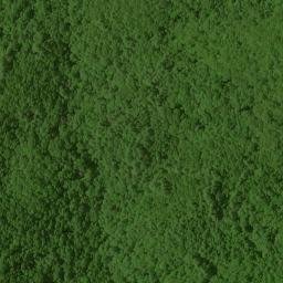 Satellite imagery of Nell Ridge, US