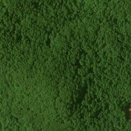 Satellite imagery of Nell Ridge, US