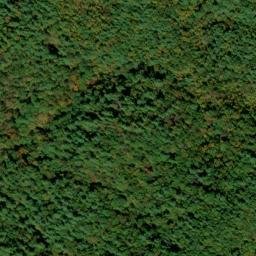 Satellite imagery of Brush Ridge, US