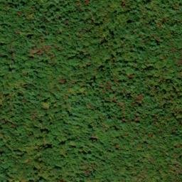 Satellite imagery of Reid Mine, US