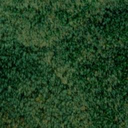 Satellite imagery of Pruitt Ridge, US