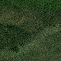 Satellite imagery of Steele Point, US