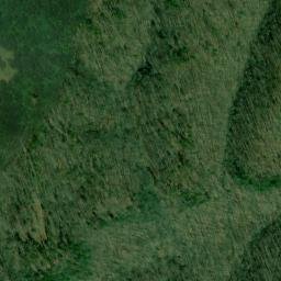 Satellite imagery of Walker and Leonard Mine, US