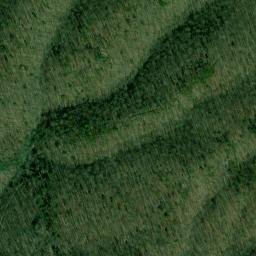Satellite imagery of Walker and Leonard Mine, US