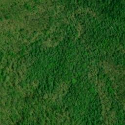Satellite imagery of Gumlog Lead, US