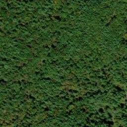 Satellite imagery of Brush Ridge, US