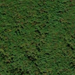 Satellite imagery of Reid Mine, US
