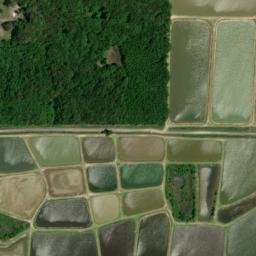 Satellite imagery of T 111 — NGS EH1865 — Lonoke County, US, US
