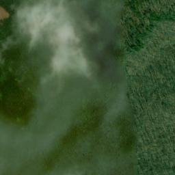 Satellite imagery of Walker and Leonard Mine, US