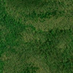 Satellite imagery of Gumlog Lead, US