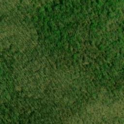 Satellite imagery of Gumlog Lead, US