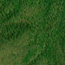 Satellite imagery of Gumlog Lead, US
