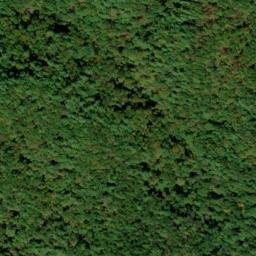 Satellite imagery of Reid Mine, US