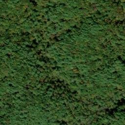 Satellite imagery of Reid Mine, US